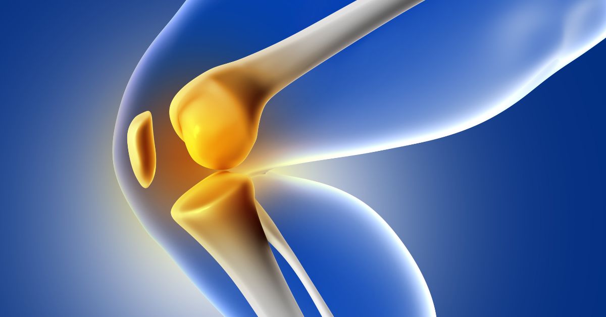 Knee Replacement cost